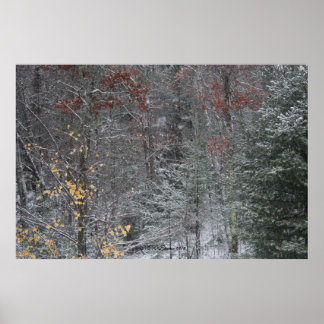 Fall Before Winter Poster