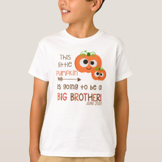 Fall big brother to be shirt - pumpkin big brother