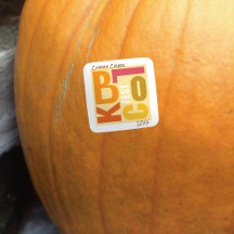 Fall Block Fest Retro Type Neighbourhood Event