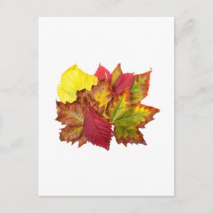 Fall bouquet postcard