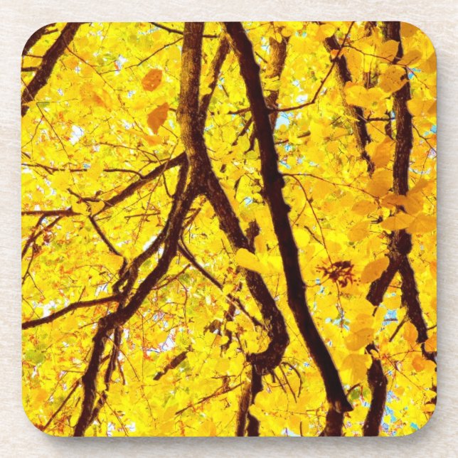 Fall branches - golden yellow coaster (Front)