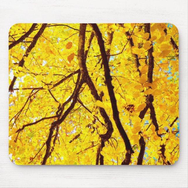 Fall branches - golden yellow mouse pad (Front)