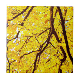 Fall branches - golden yellow tile