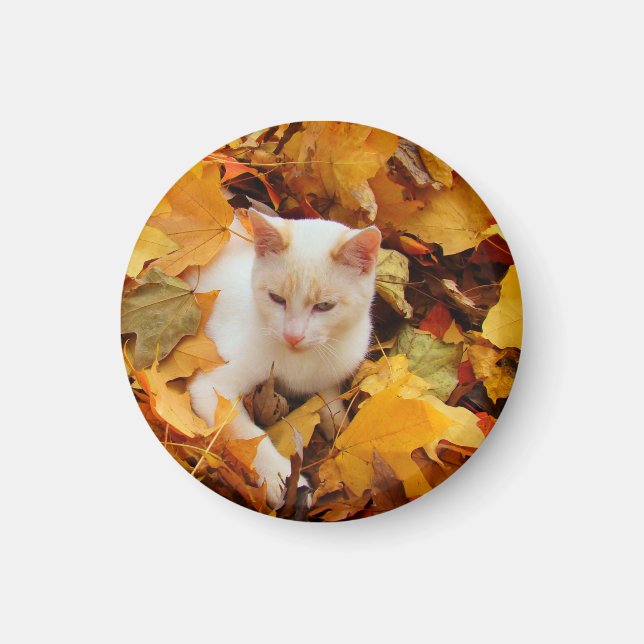 Fall Cat Magnet (Front)