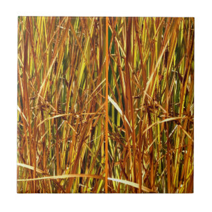 Fall Cattails Tile