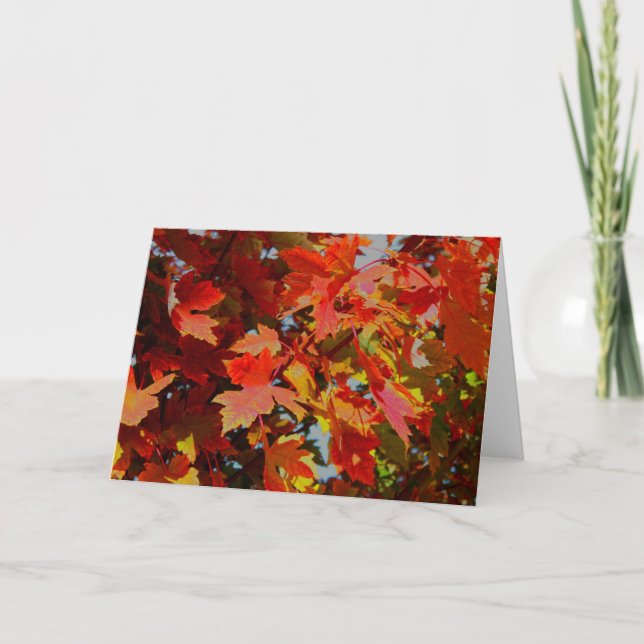 Fall collection note card (Front)