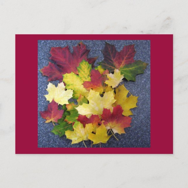 Fall collection postcard (Front)