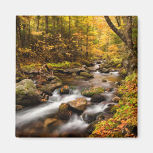 Fall Color Jefferson Brook White Mountains Magnet