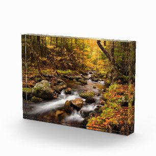 Fall Color Jefferson Brook   White Mountains Photo Block