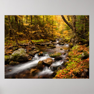 Fall Color Jefferson Brook   White Mountains Poster