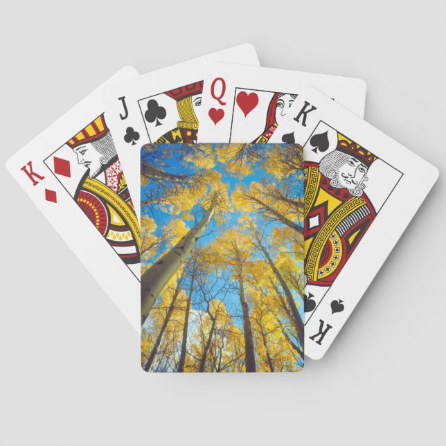 Fall colors of Aspen trees 2 Playing Cards (Back)