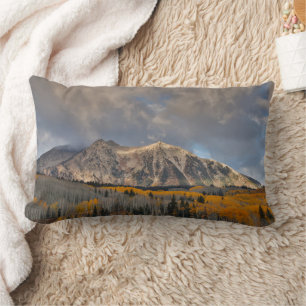 Fall Colors of Aspens, Keebler Pass Lumbar Cushion