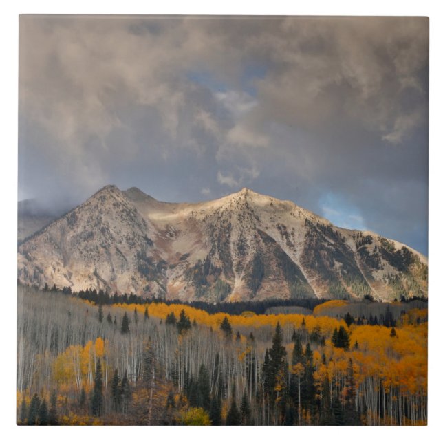 Fall Colors of Aspens, Keebler Pass Tile (Front)