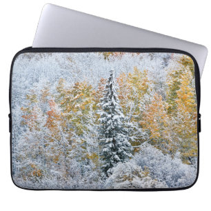 Fall Colors of Aspens & Snow Keebler Pass Laptop Sleeve
