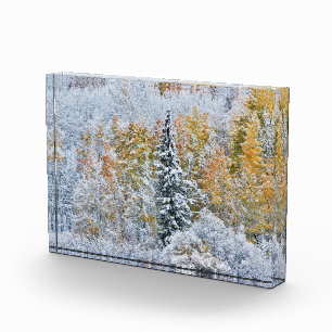 Fall Colors of Aspens & Snow Keebler Pass Photo Block