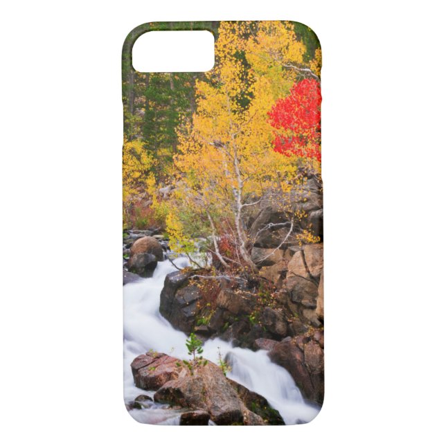 Fall colour along Bishop Creek, CA Case-Mate iPhone Case (Back)