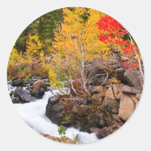 Fall colour along Bishop Creek, CA Classic Round Sticker