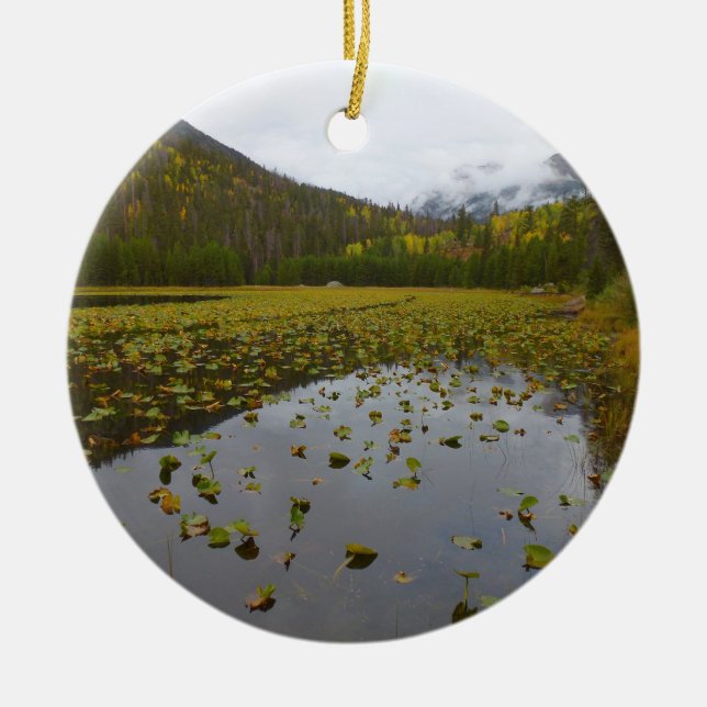 Fall Colour at Cub Lake Ceramic Tree Decoration (Front)
