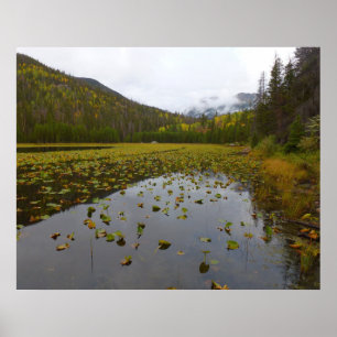 Fall Colour at Cub Lake Poster