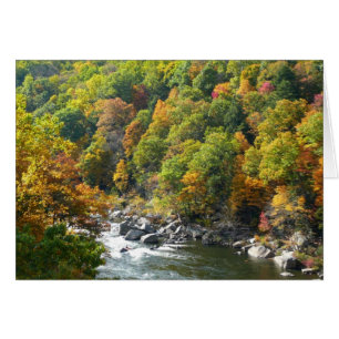 Fall Colour at Ohiopyle State Park