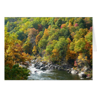 Fall Colour at Ohiopyle State Park