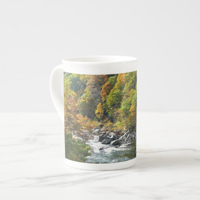 Fall Colour at Ohiopyle State Park Bone China Mug (Front Left)