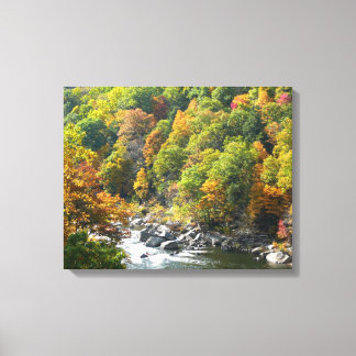 Fall Colour at Ohiopyle State Park Canvas Print