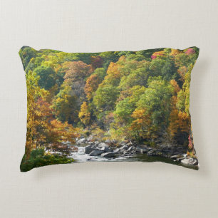 Fall Colour at Ohiopyle State Park Decorative Cushion