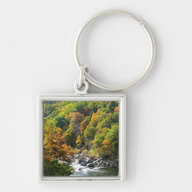 Fall Colour at Ohiopyle State Park Key Ring (Front)