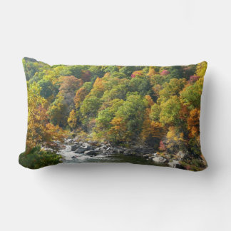 Fall Colour at Ohiopyle State Park Lumbar Cushion