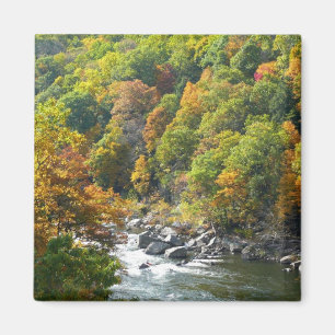 Fall Colour at Ohiopyle State Park Magnet