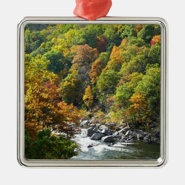 Fall Colour at Ohiopyle State Park Metal Tree Decoration (Front)