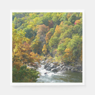 Fall Colour at Ohiopyle State Park Napkin