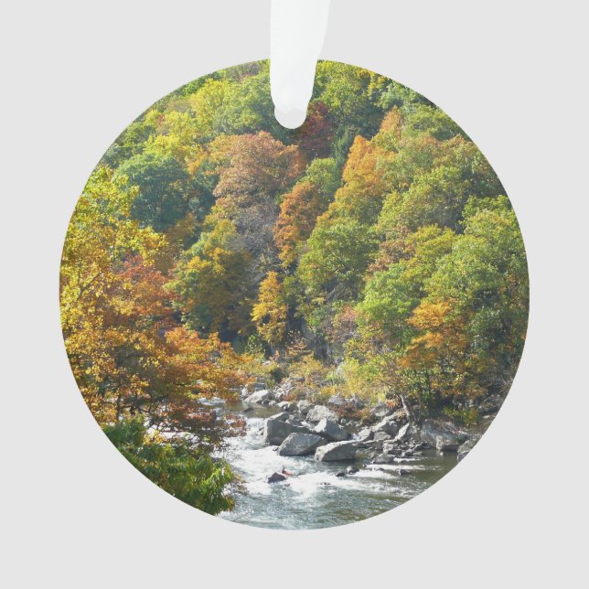 Fall Colour at Ohiopyle State Park Ornament (Front)