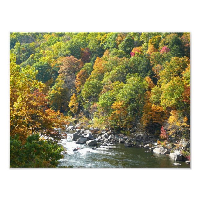 Fall Colour at Ohiopyle State Park Photo Print (Front)