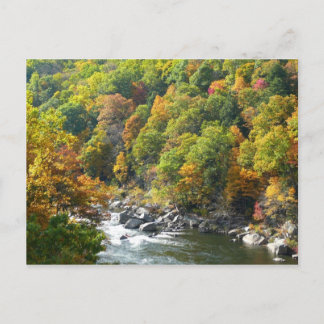 Fall Colour at Ohiopyle State Park Postcard