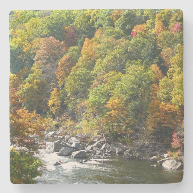 Fall Colour at Ohiopyle State Park Stone Coaster (Front)