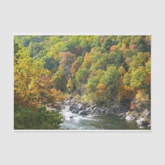 Fall Colour at Ohiopyle State Park Tissue Paper