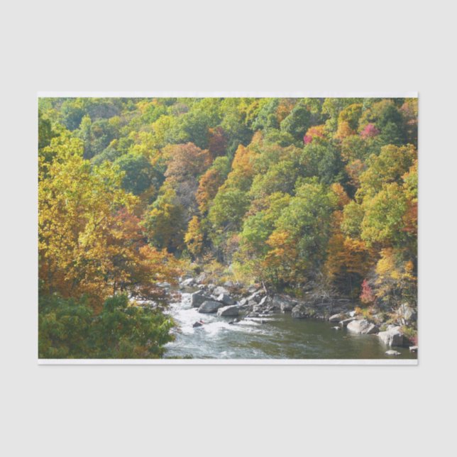 Fall Colour at Ohiopyle State Park Tissue Paper (Front)