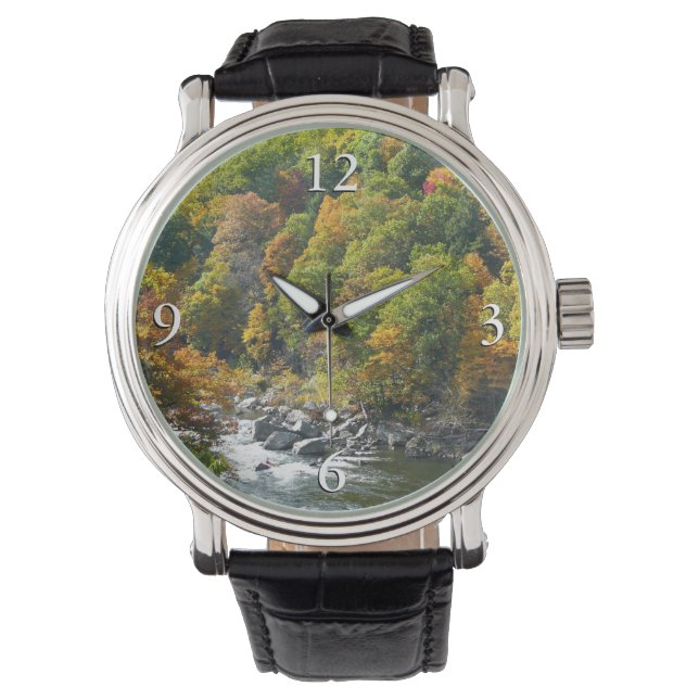 Fall Colour at Ohiopyle State Park Watch (Front)