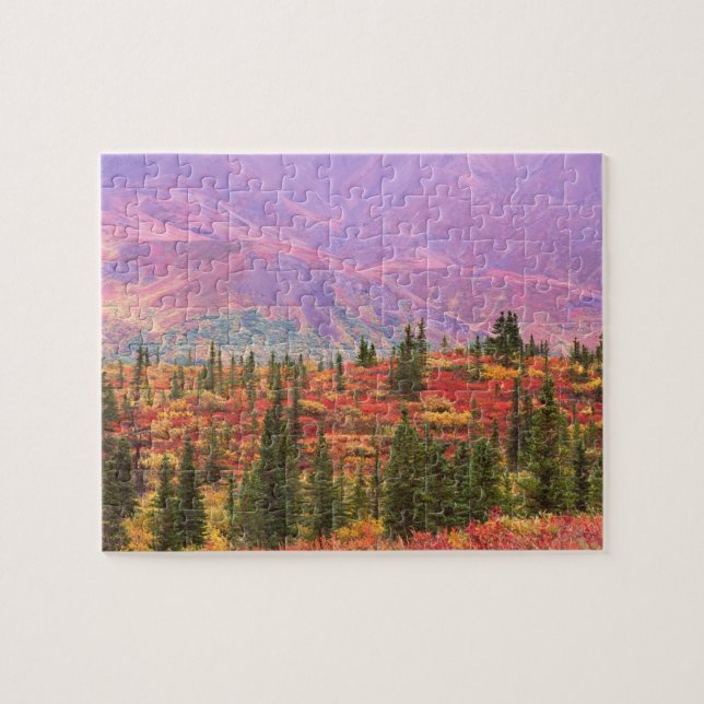 Fall colour in Denali National Park Jigsaw Puzzle (Horizontal)