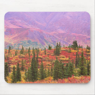 Fall colour in Denali National Park Mouse Pad
