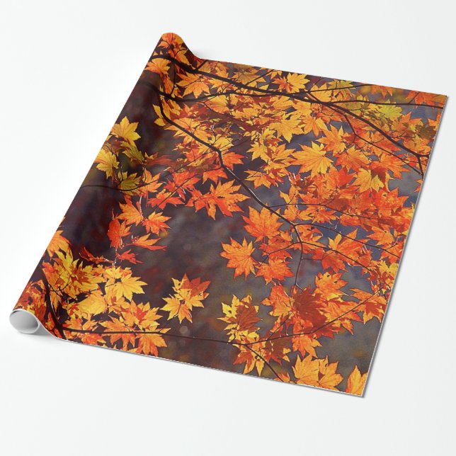 Fall Colour Japanese Maple Leaves Wrapping Paper (Unrolled)