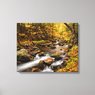 Fall Colour Jefferson Brook   White Mountains Canvas Print