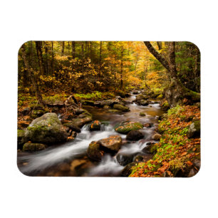 Fall Colour Jefferson Brook   White Mountains Magnet