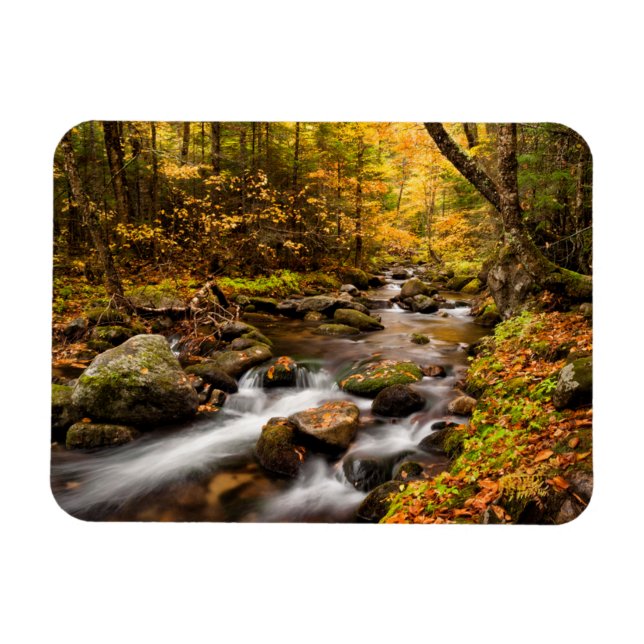 Fall Colour Jefferson Brook | White Mountains Magnet (Horizontal)