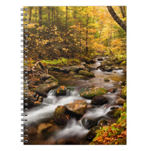 Fall Colour Jefferson Brook White Mountains Notebook