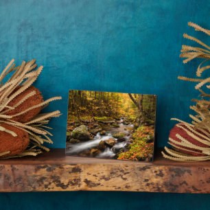 Fall Colour Jefferson Brook White Mountains Plaque