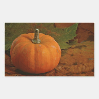 Fall Colour Leaves Orange Pumpkin Sticker