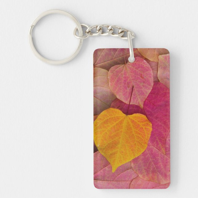 Fall colour on Forest Pansy Redbud fallen Key Ring (Front)